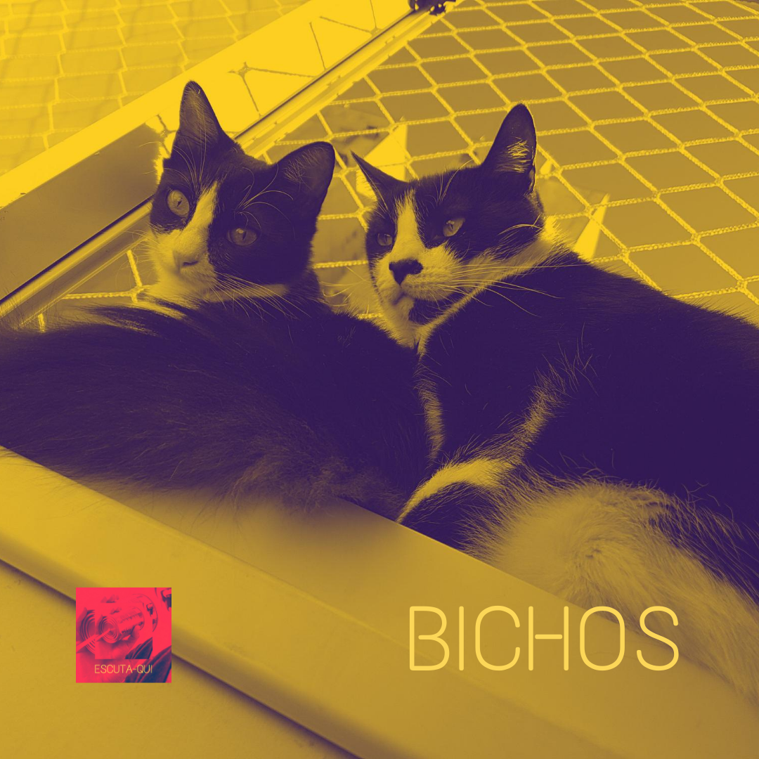 Imagem sobre 4 | Fale com eles